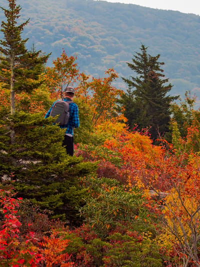 scenic-mountain-view-with-a-solitary-hiker-2026